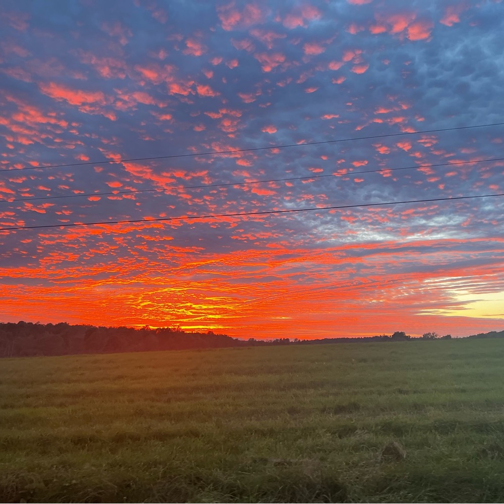 Meet your Posher, Ahna